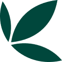 Bamboo logo
