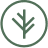 Branch logo