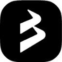 BlackBull Markets logo